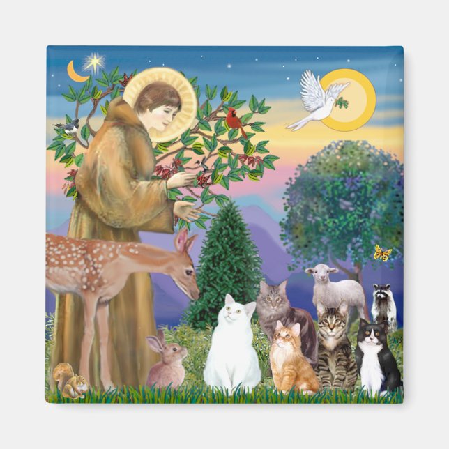 Imã Irmã Frances Bênção 5 gatos (Frente)