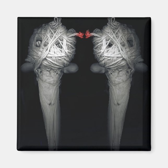 Imã Irmãos 2013 (Frente)