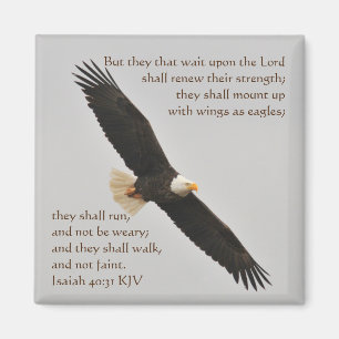 Imã Isaiah 40:31 Mas eles esperam pelo Senhor