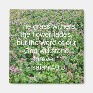 Imã Isaiah 40:8 Flor Bíblica