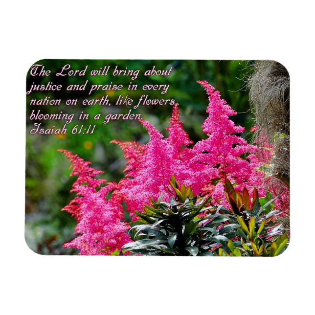 Ímã Isaiah 61:11 Inspiração Floral Rosa (Horizontal)