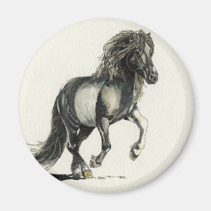 Imã Islandês Hearted claro