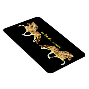 Ímã Islandês sobre o fogo Cavalo islandês