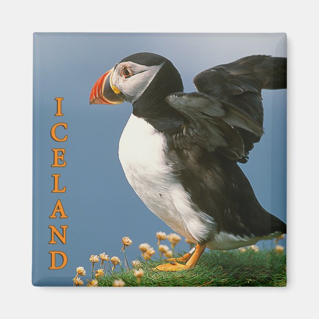 Imã Islândia (Frente)