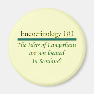 Imã Islets de Langerhans