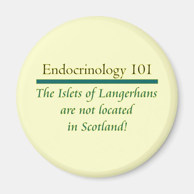 Imã Islets de Langerhans (Frente)