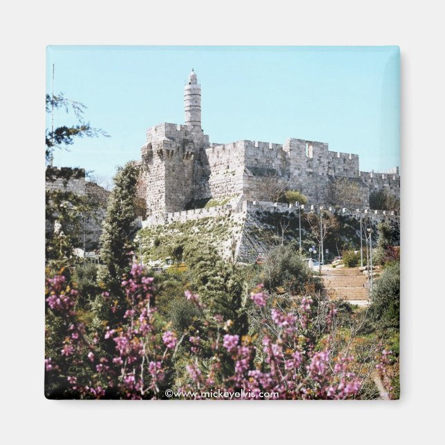 Imã Israel 22 (Frente)