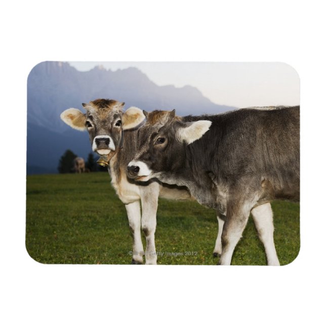 Ímã Itália, Alto Adige (Horizontal)