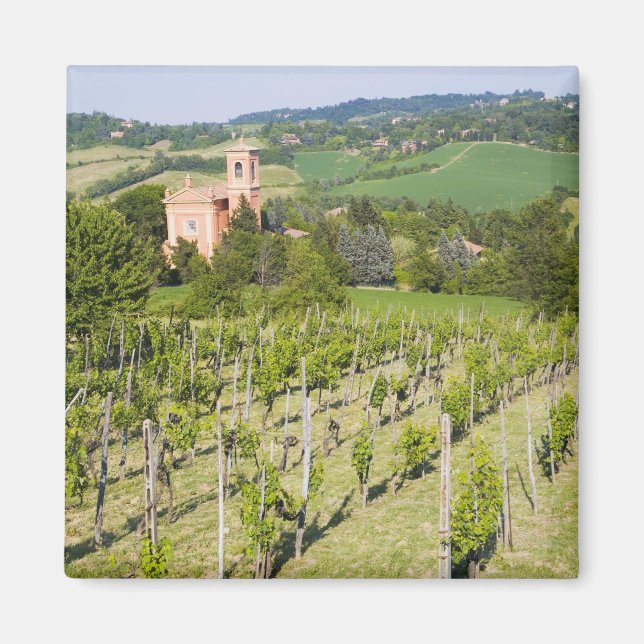 Imã Itália, Bolonha, veja através do Vineyard para Chi (Frente)