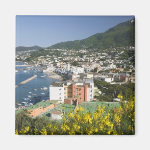 Imã ITÁLIA, Campânia, (Baía de Nápoles), ISCHIA, LACCO