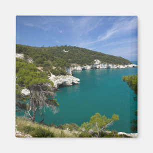 Imã Itália, Puglia, Promontório do Gargano, Testa