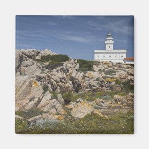 Imã Itália, Sardenha, Santa Teresa Gallura. Capo