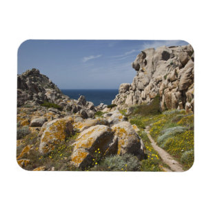 Ímã Itália, Sardenha, Santa Teresa Gallura. Capo 2