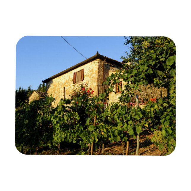 Ímã Itália, Toscana, Greve. Cenas de vinho no final do (Horizontal)