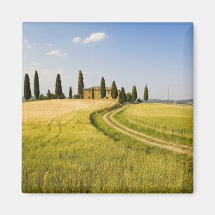 Imã Itália, Toscana, Villa Toscana perto da Colheita.