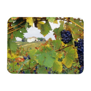 Ímã Itália, Toscânia Farmhouse foi vista através de