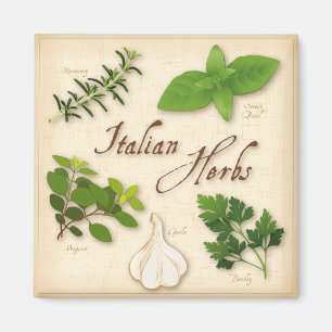 Imã Italian Herbs, Basil, Oregano, Parsley, Garlic