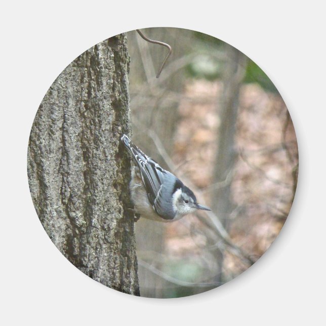Imã Itens Coordenados de Passageiro de Cinza de Lata (Frente)