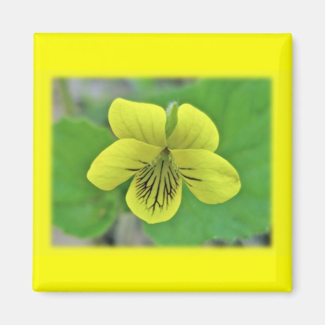 Imã Itens de Coordenada de Violeta Amarelo Selvagem (Frente)