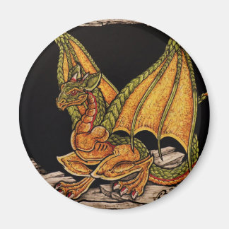 Imã Itens do Dragão Bebê