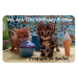 Ímã Ivy and Parker's Birthday Magnet - Cat / Kitten
