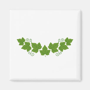Imã Ivy Leaf Border