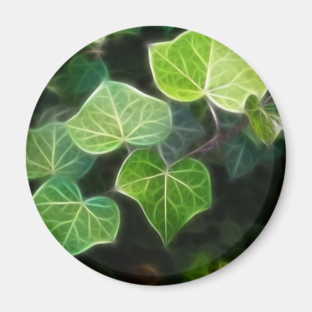 Imã Ivy Vine 4 (Frente)