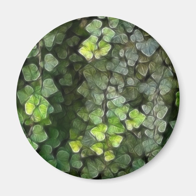 Imã Ivy Vine 6 (Frente)