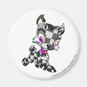 Imã Ixi Checkered