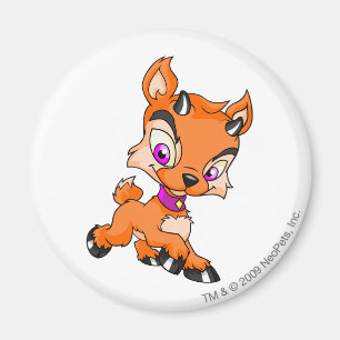 Imã Ixi laranja