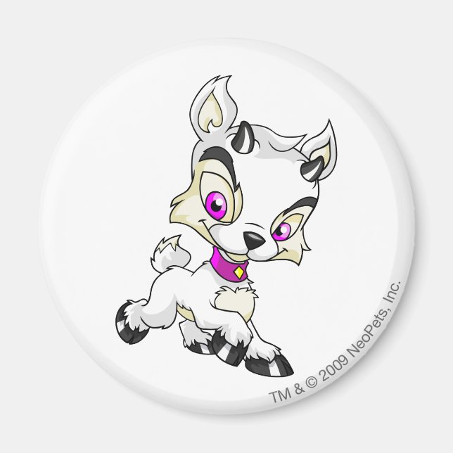 Imã Ixi White (Frente)