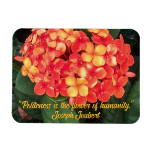 Ímã Ixora Flexível Magnet De Fotografias Bloqueando