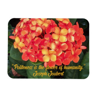 Ímã Ixora Flexível Magnet De Fotografias Bloqueando