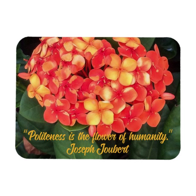 Ímã Ixora Flexível Magnet De Fotografias Bloqueando (Horizontal)