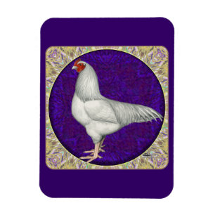 Ímã Ixworth Rooster