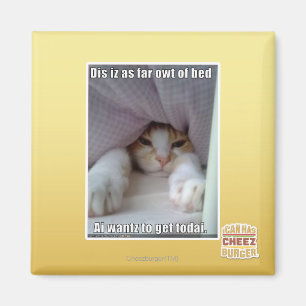 Imã Iz do Dis como distante o owt da cama.
