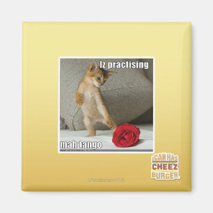 Imã Iz praticando mah tango