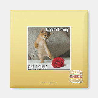 Imã Iz praticando mah tango