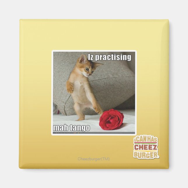 Imã Iz praticando mah tango (Frente)