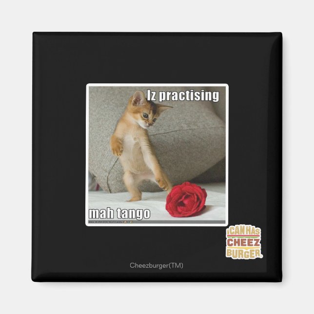 Imã Iz praticando mah tango (Frente)