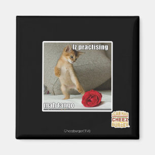 Imã Iz que pratica o tango do mah