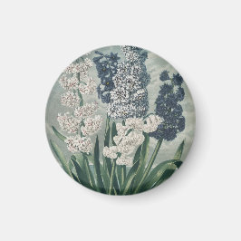 Imã Jacintos (1807) – Exímia Botânica Botânica Vintage