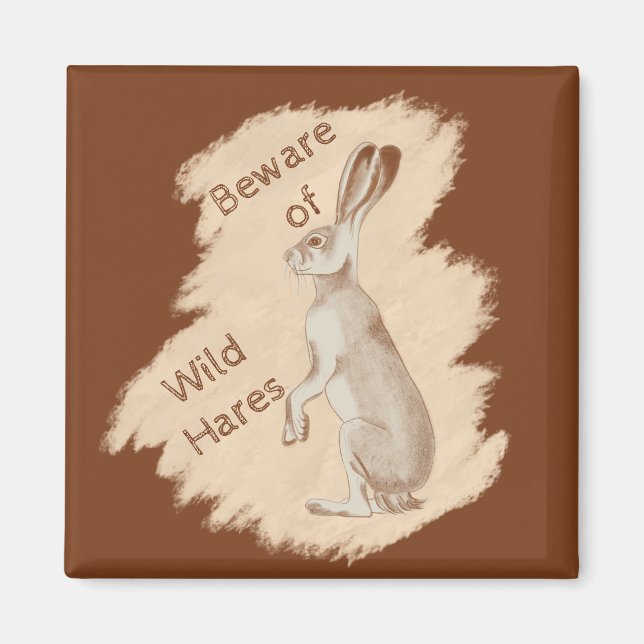 Imã Jack Rabbit e Amigos (Frente)