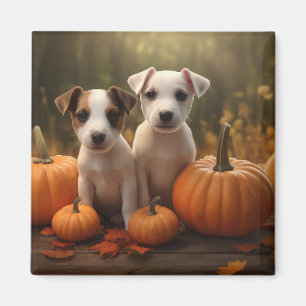 Imã Jack Russell Puppy Autumn Delight Pumpkin