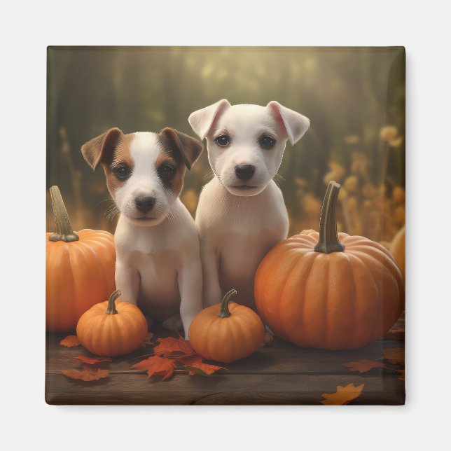Imã Jack Russell Puppy Autumn Delight Pumpkin (Frente)