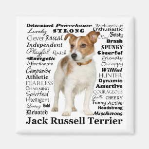 Imã Jack Russell Traits Magnet
