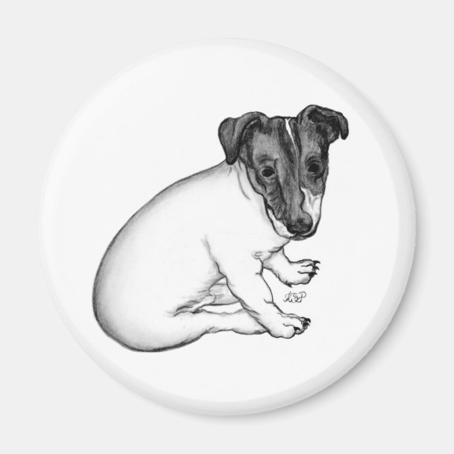 Imã Jack Russell Welpe 10 Wochen alt (Frente)