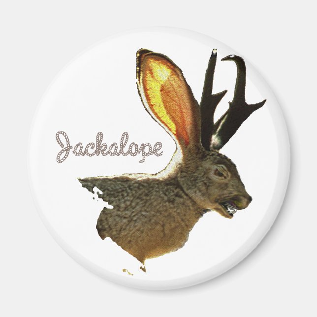 Imã Jackalope (Frente)