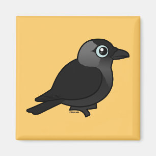 Imã Jackdaw