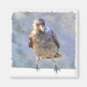 Imã Jackdaw Watercolor